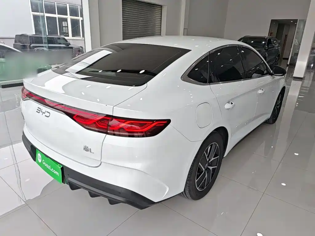 BYD Qin L — фото 6