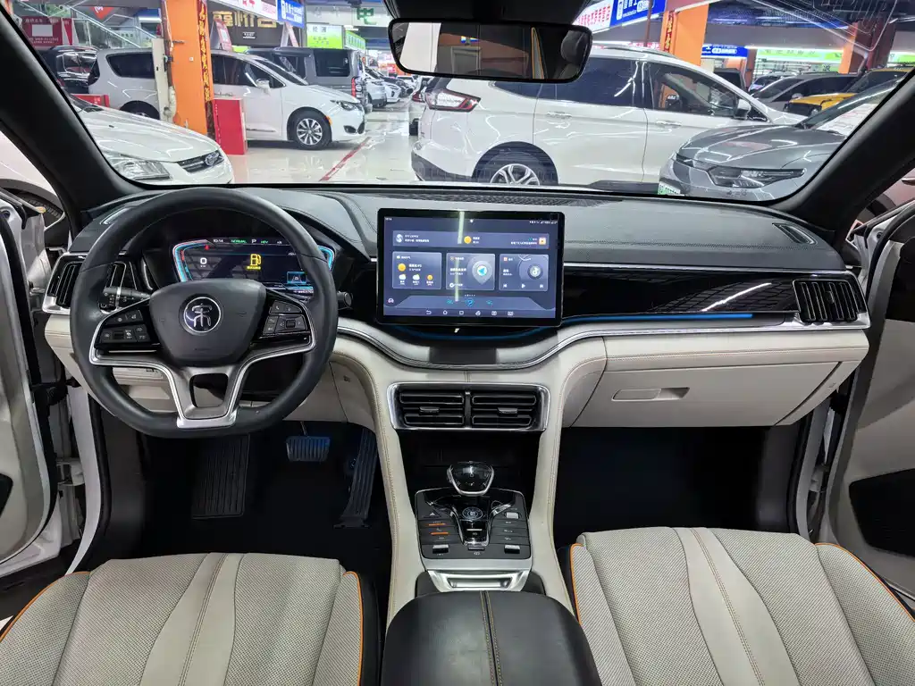 BYD PLUS New Energy — фото 8