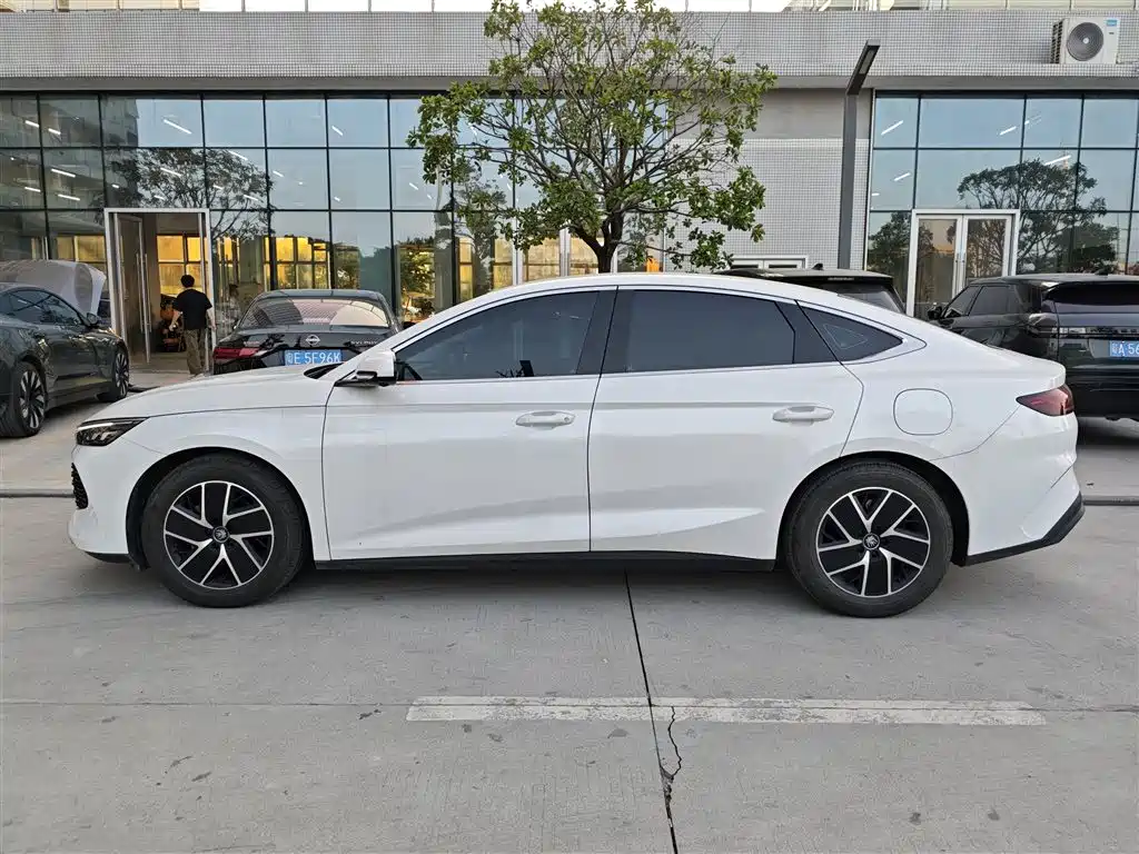 BYD Qin L — фото 3