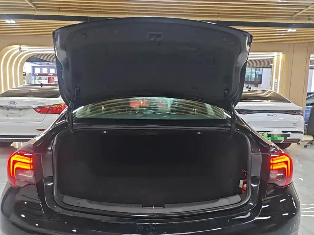 Buick Regal — фото 18