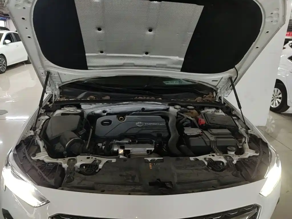 Buick Regal — фото 19