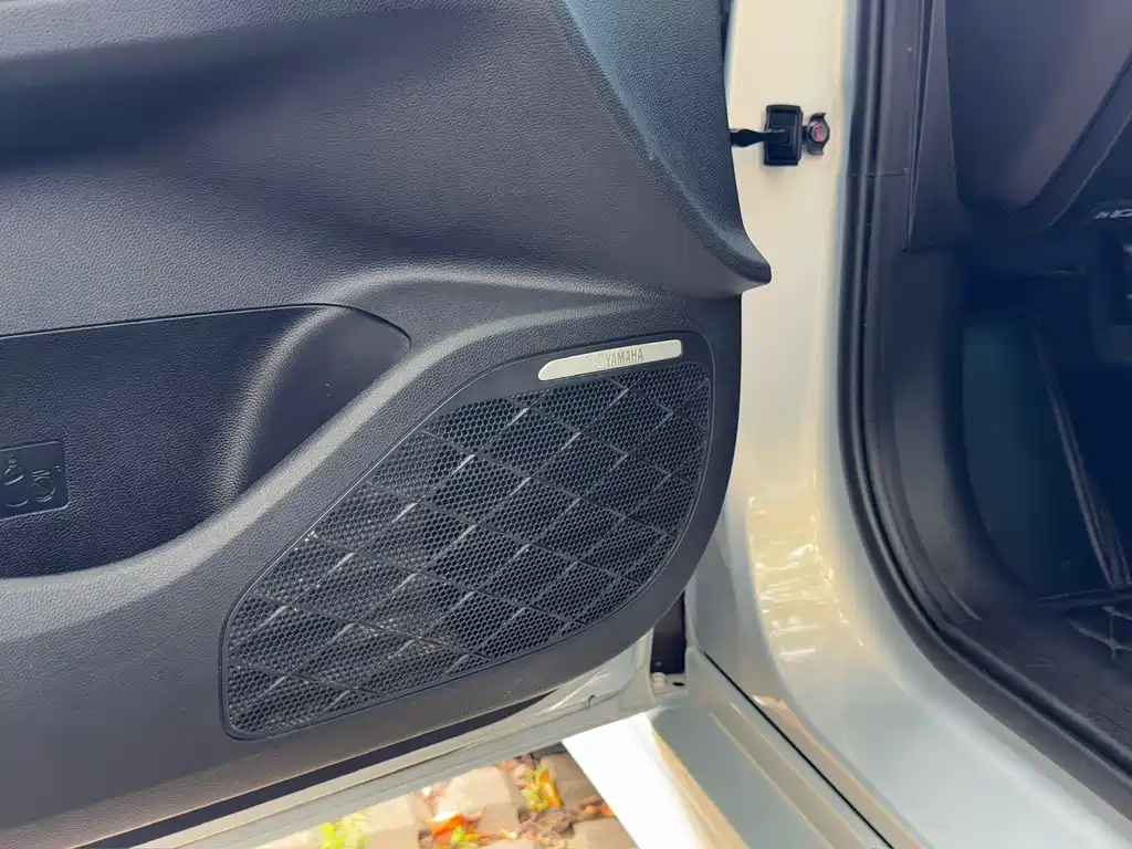 GAC Motor Shadow Leopard — фото 20