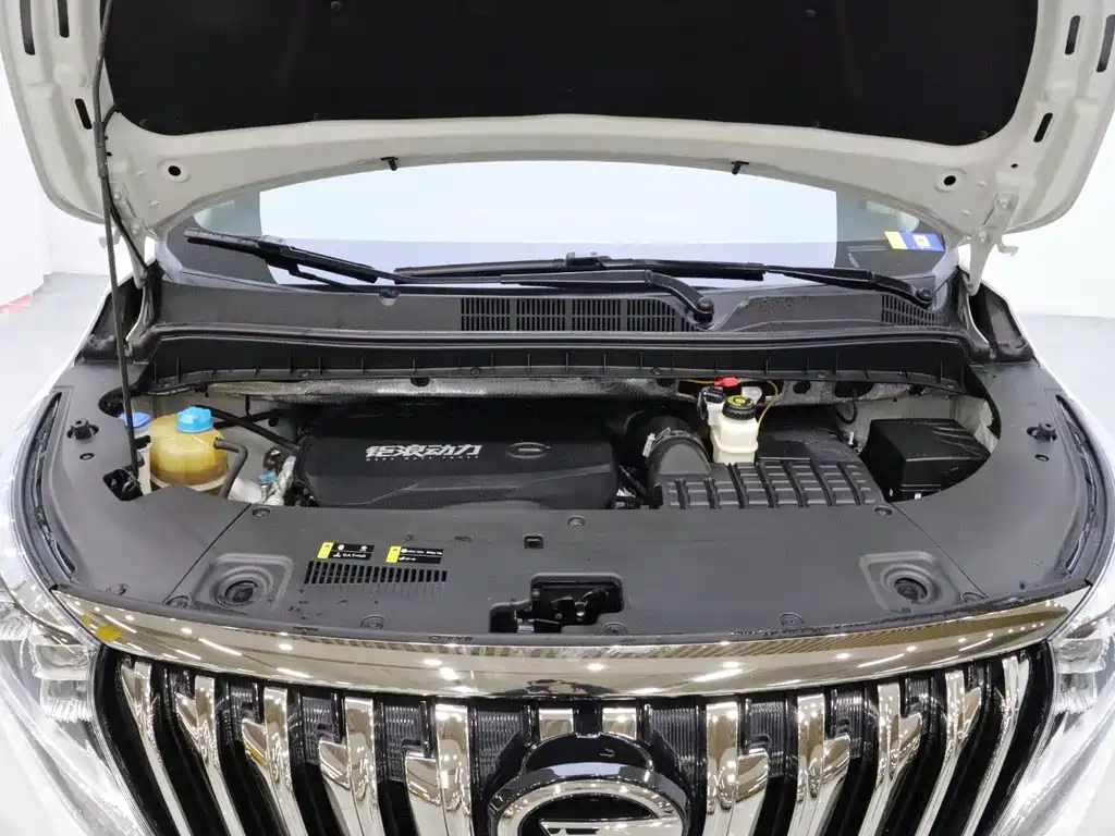 GAC Motor Trumpchi M8 — фото 19