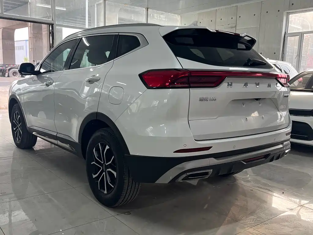 Haval H6 — фото 8
