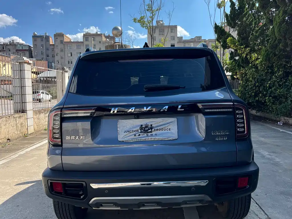 Haval Big Dog — фото 8
