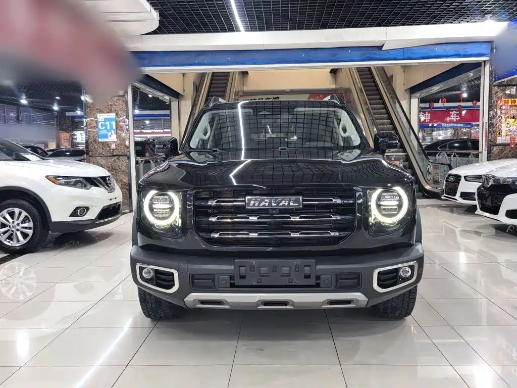 Haval Big Dog — фото 6