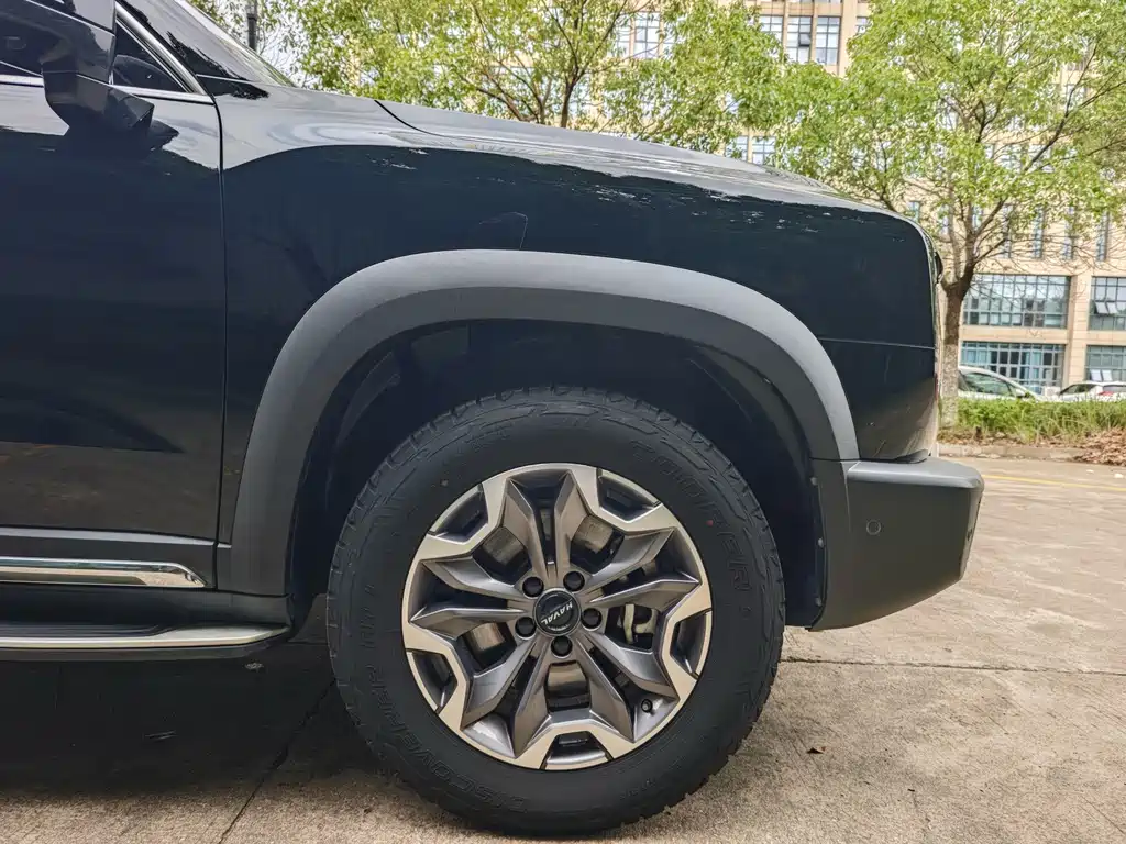 Haval Big Dog — фото 11