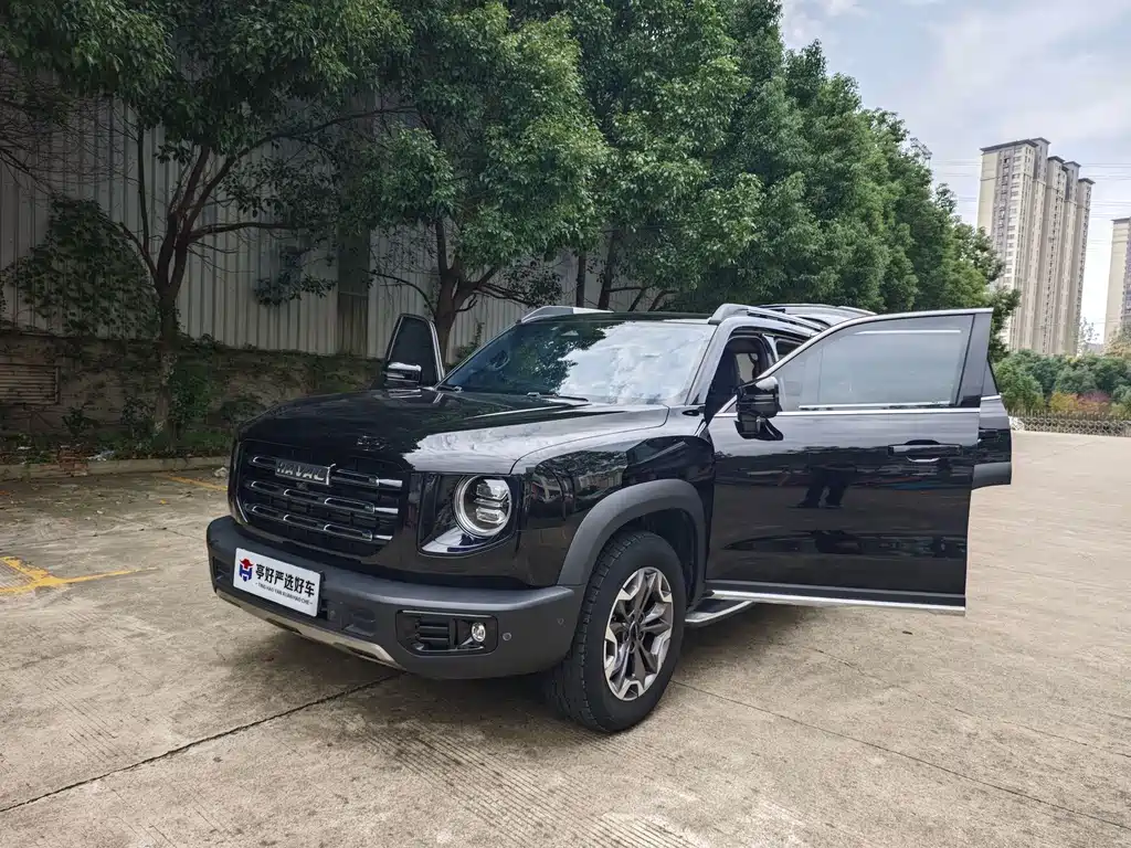 Haval Big Dog — фото 22