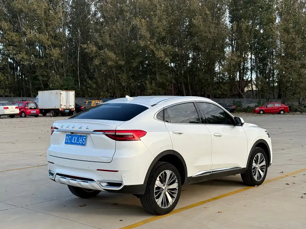 Haval F7x — фото 6