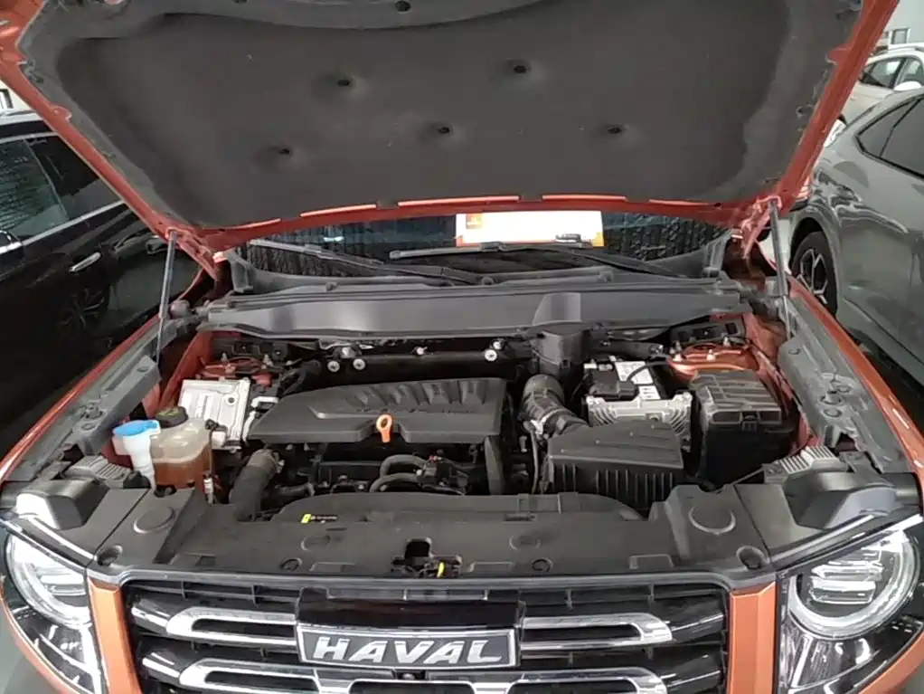 Haval Big Dog — фото 17