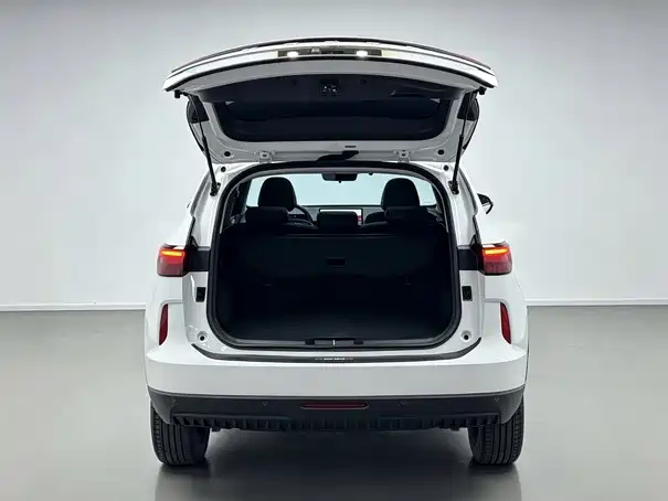 Haval H6 — фото 11