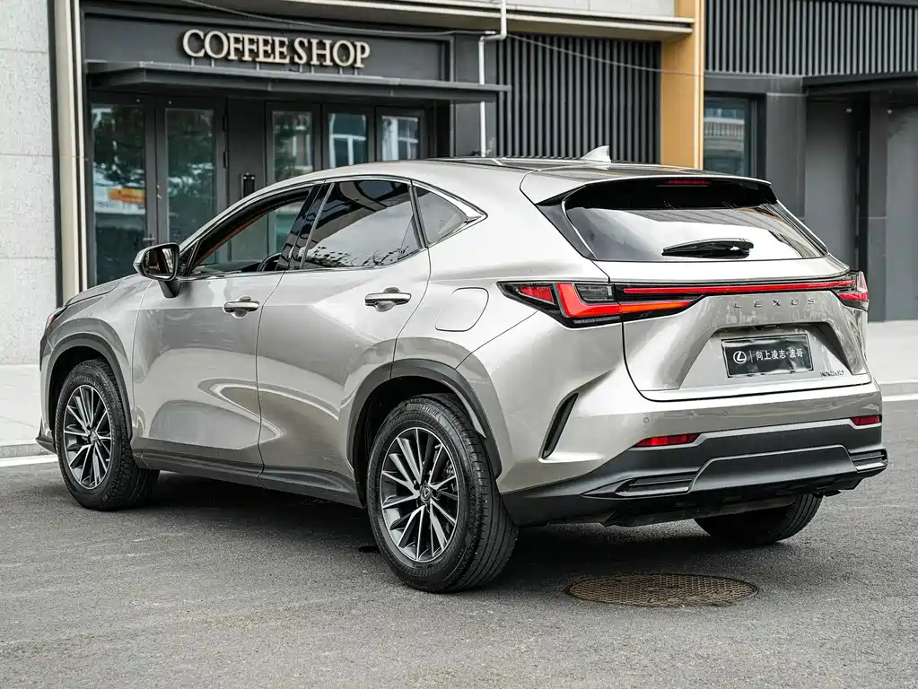 Lexus NX — фото 6
