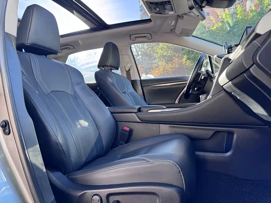 Lexus RX — фото 17