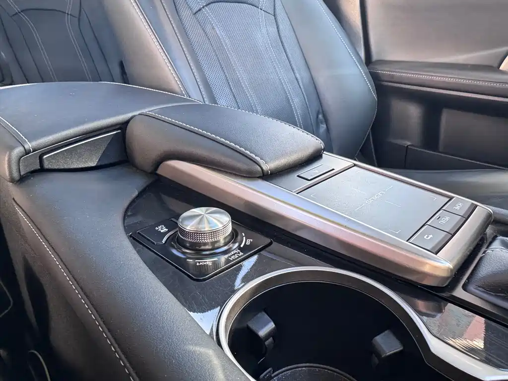 Lexus RX — фото 18