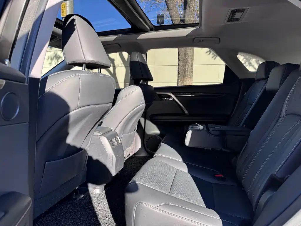 Lexus RX — фото 10