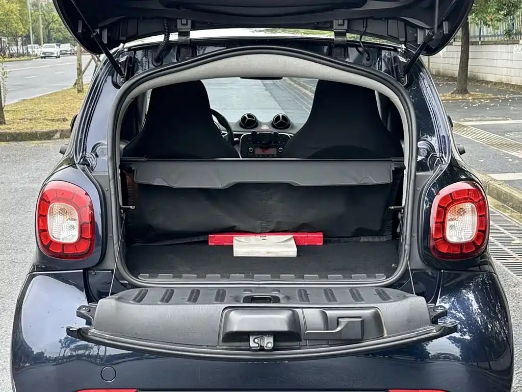 smart Smart Fortwo — фото 10