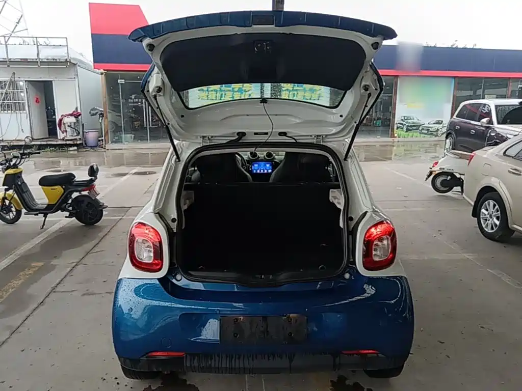 smart Smart Forfour — фото 18