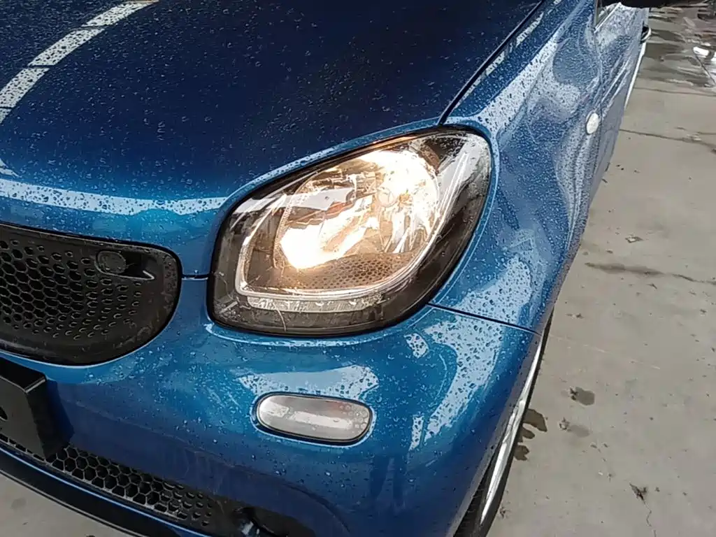 smart Smart Forfour — фото 23