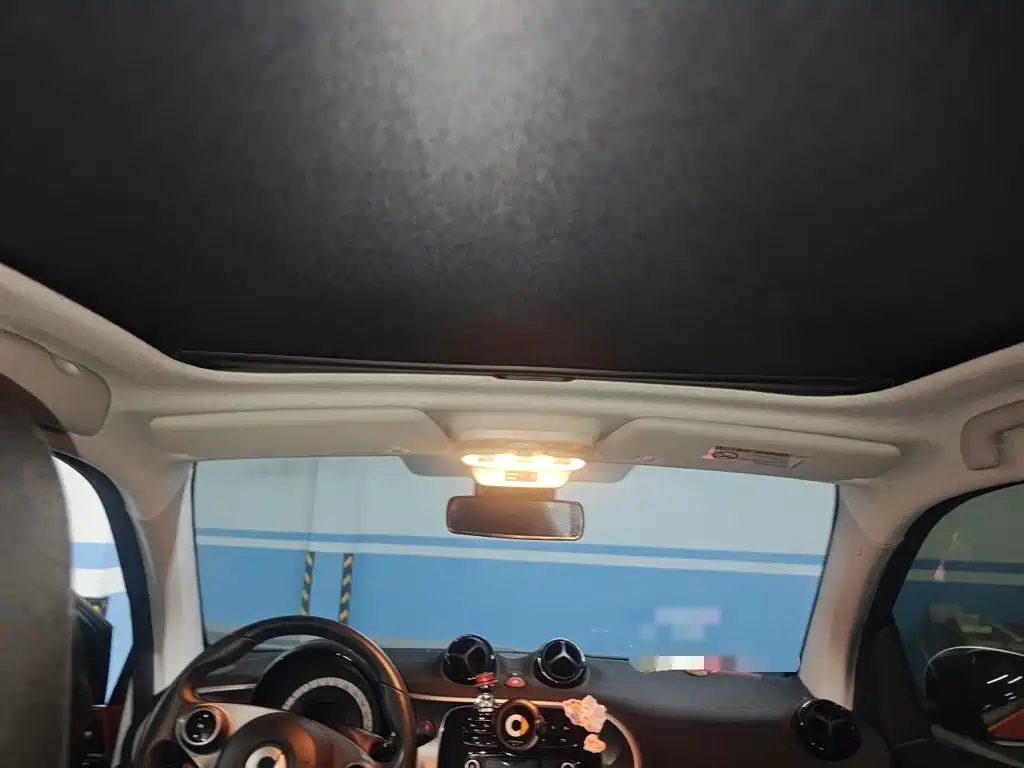 smart Smart Fortwo — фото 19