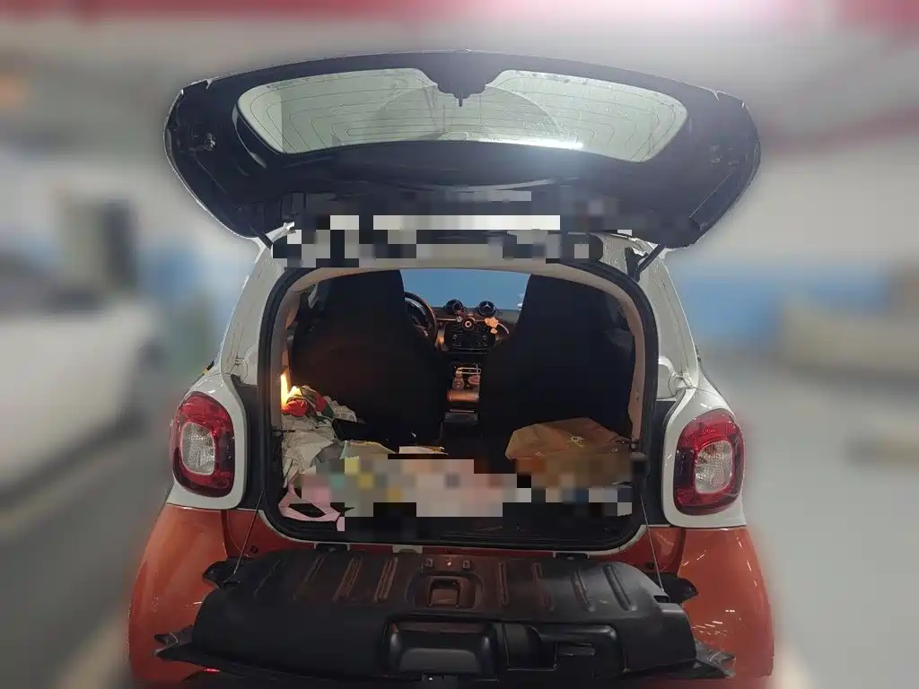smart Smart Fortwo — фото 20