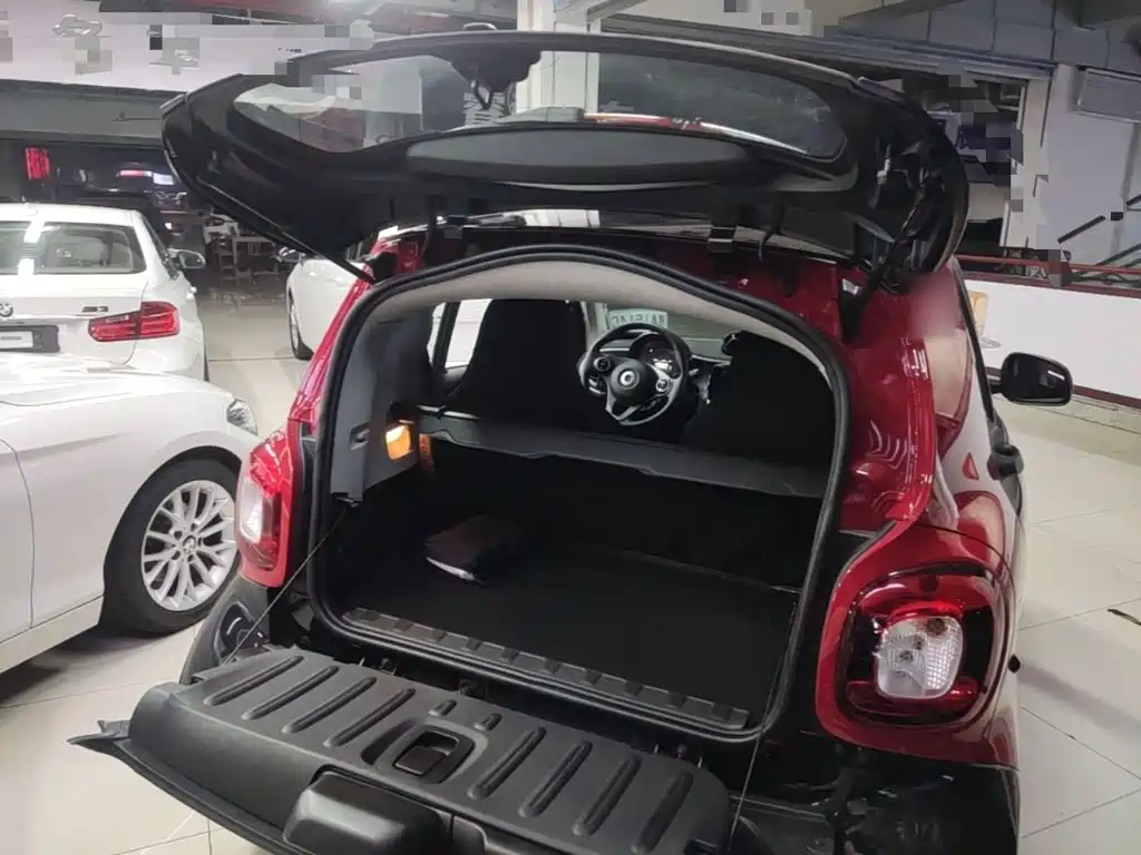 smart Smart Fortwo — фото 18