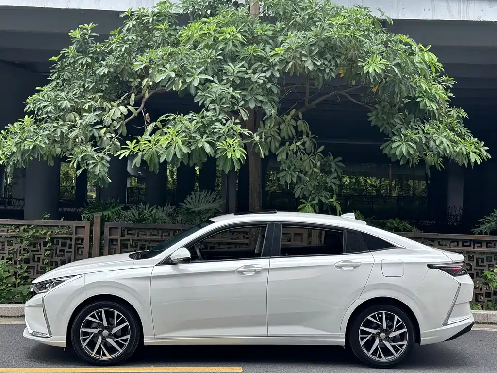 Aeolus Yixuan — фото 8