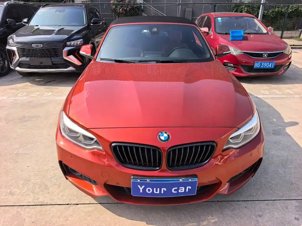 BMW 2 Series (Import) — фото 2