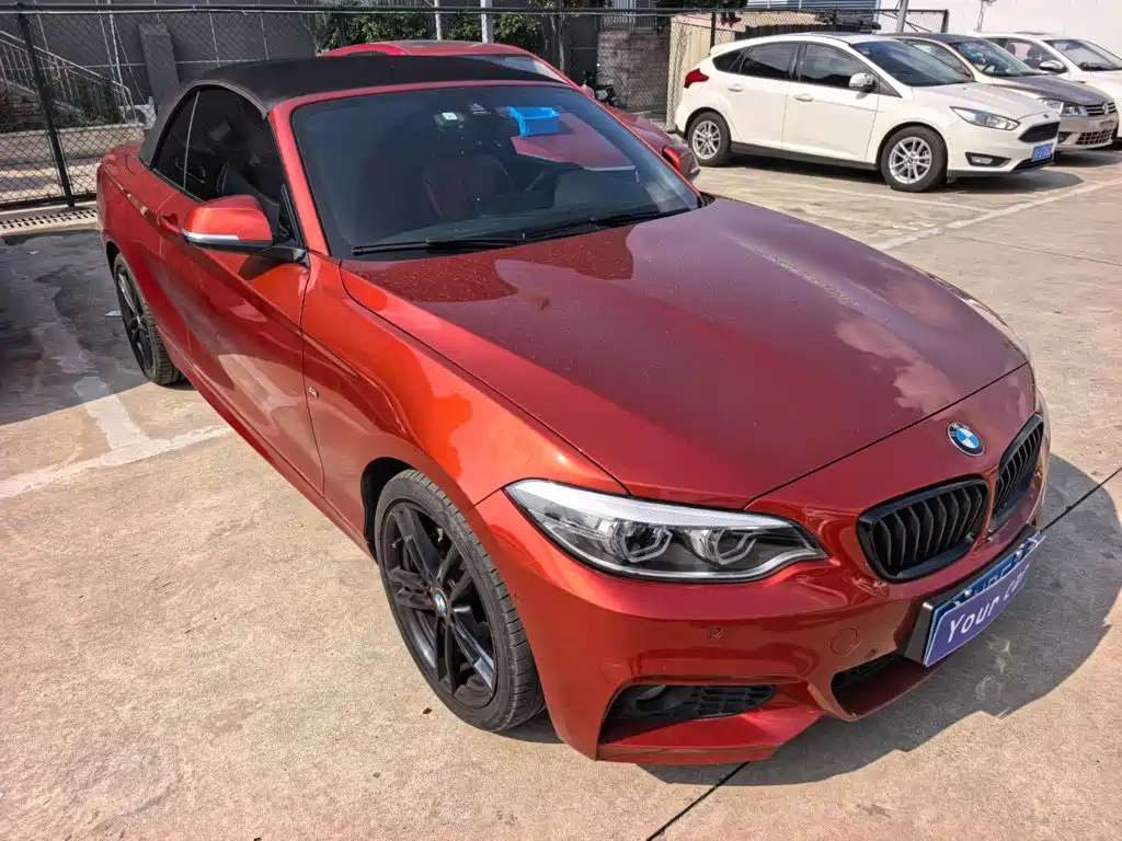 BMW 2 Series (Import) — фото 3
