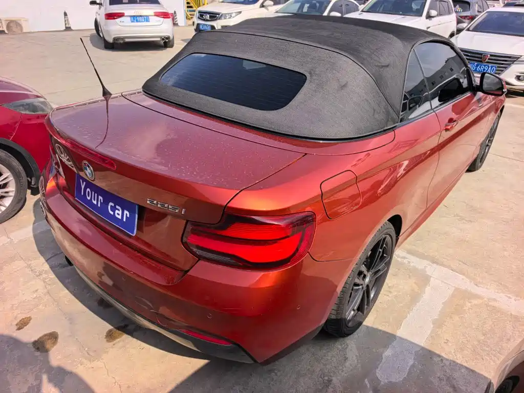 BMW 2 Series (Import) — фото 6