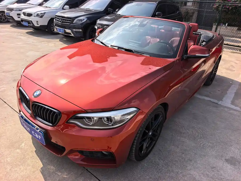 BMW 2 Series (Import) — фото 8
