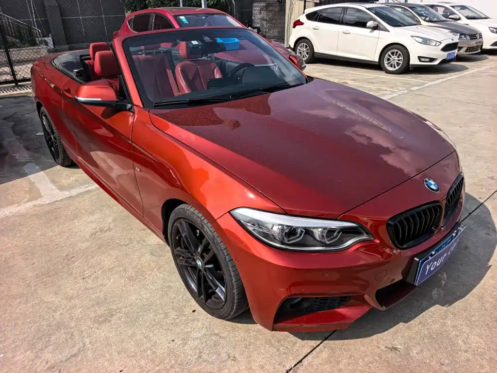 BMW 2 Series (Import) — фото 9