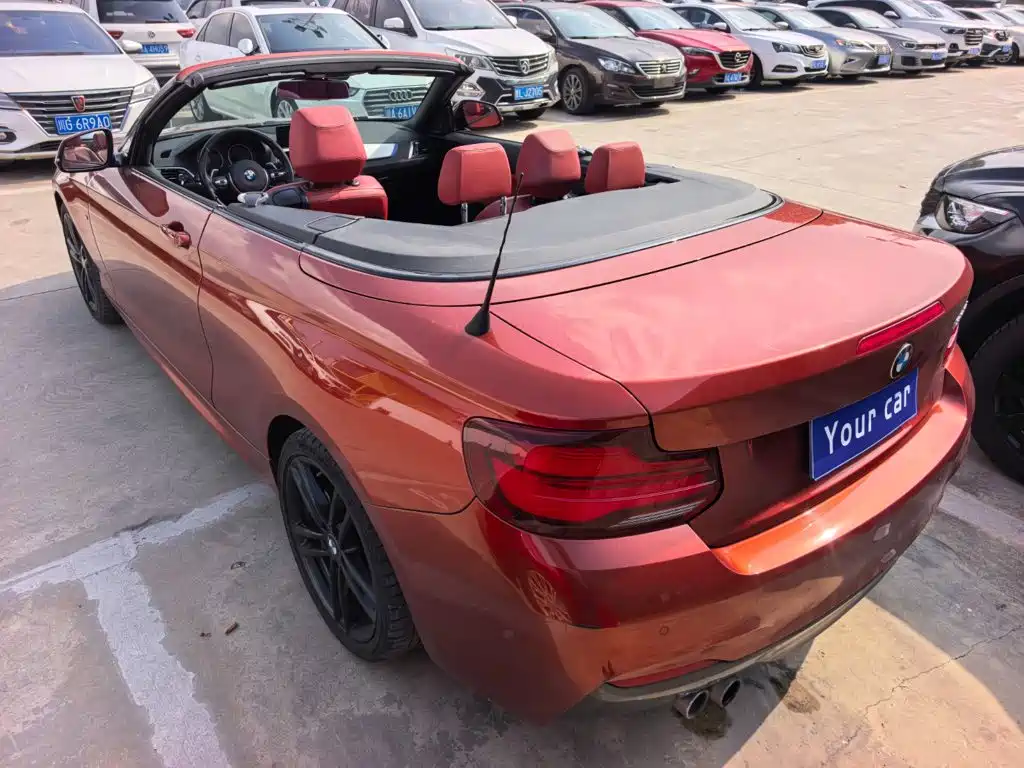 BMW 2 Series (Import) — фото 10