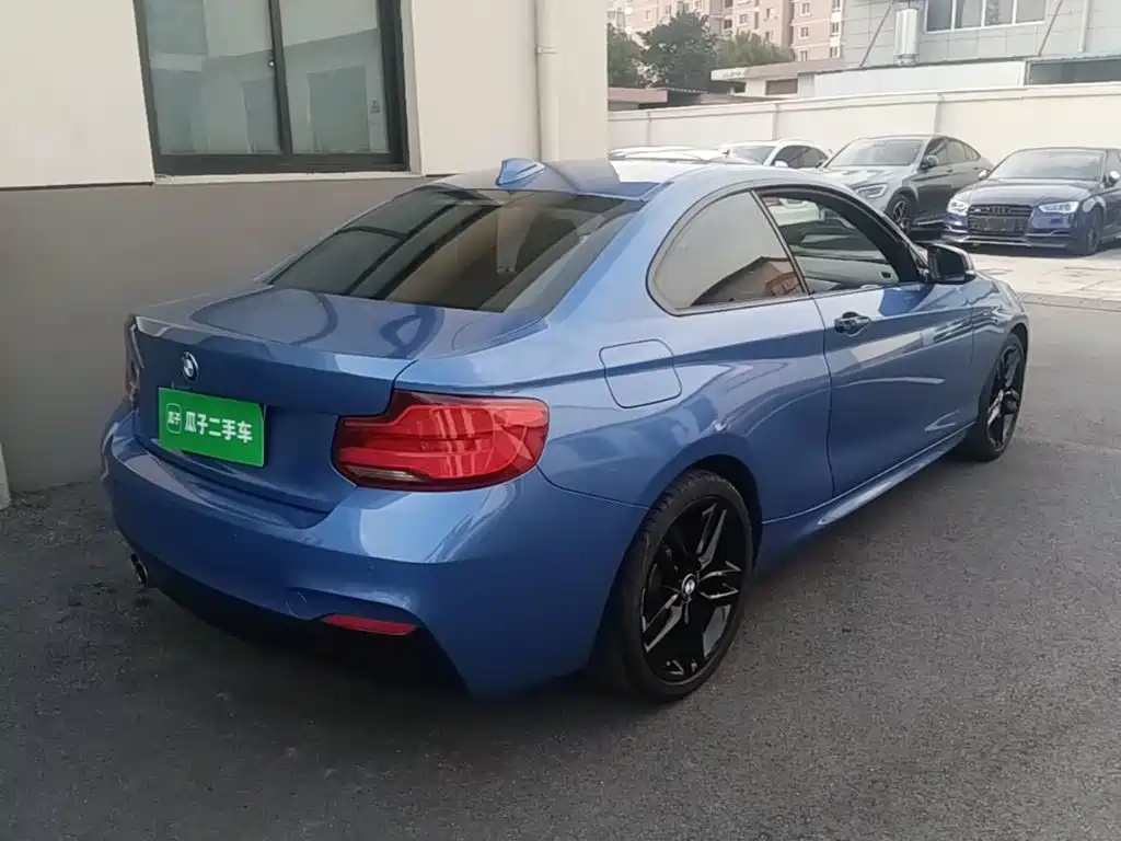 BMW 2 Series (Import) — фото 6
