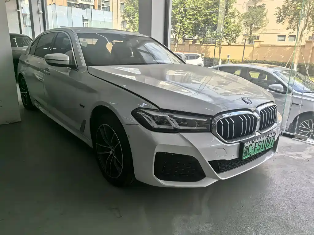 BMW 5 Series New Energy — фото 9