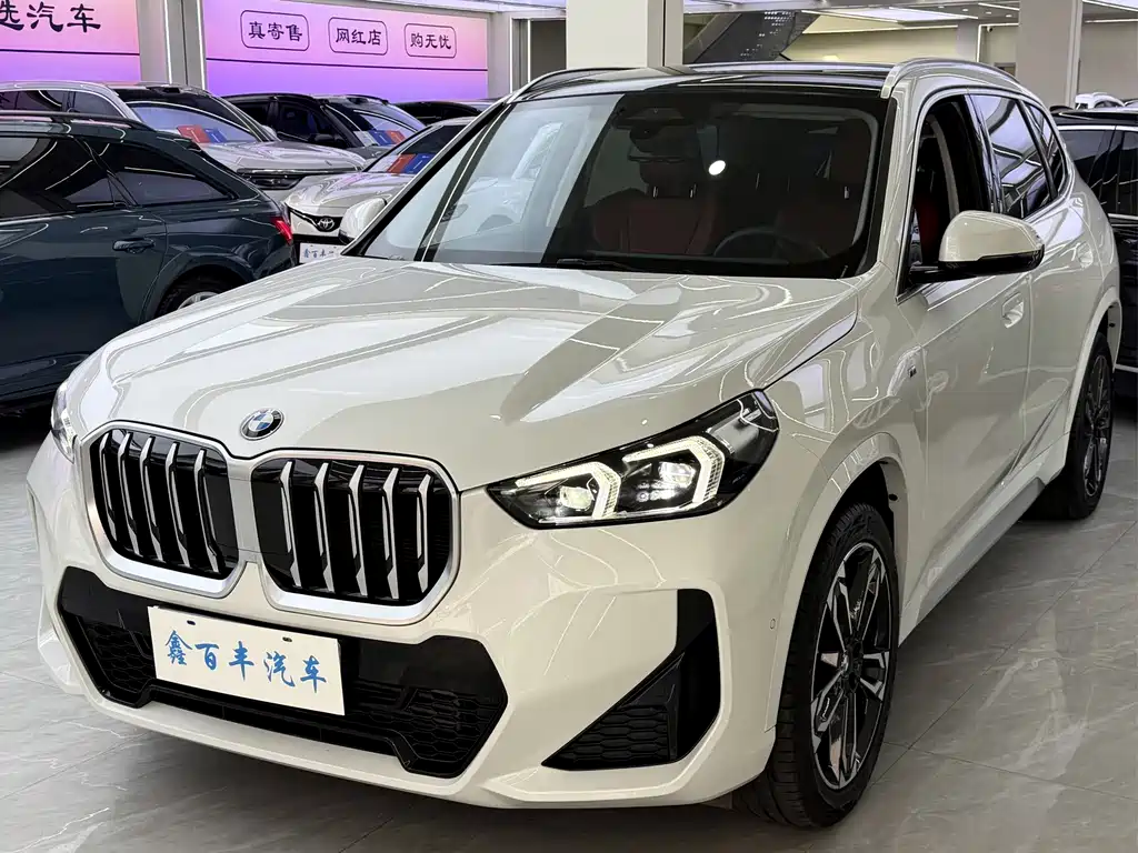BMW X1 — фото 1
