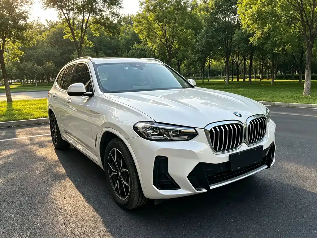 BMW X3 — фото 3