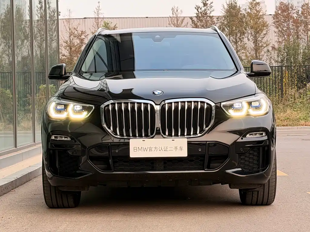 BMW X5 (Import) — фото 6