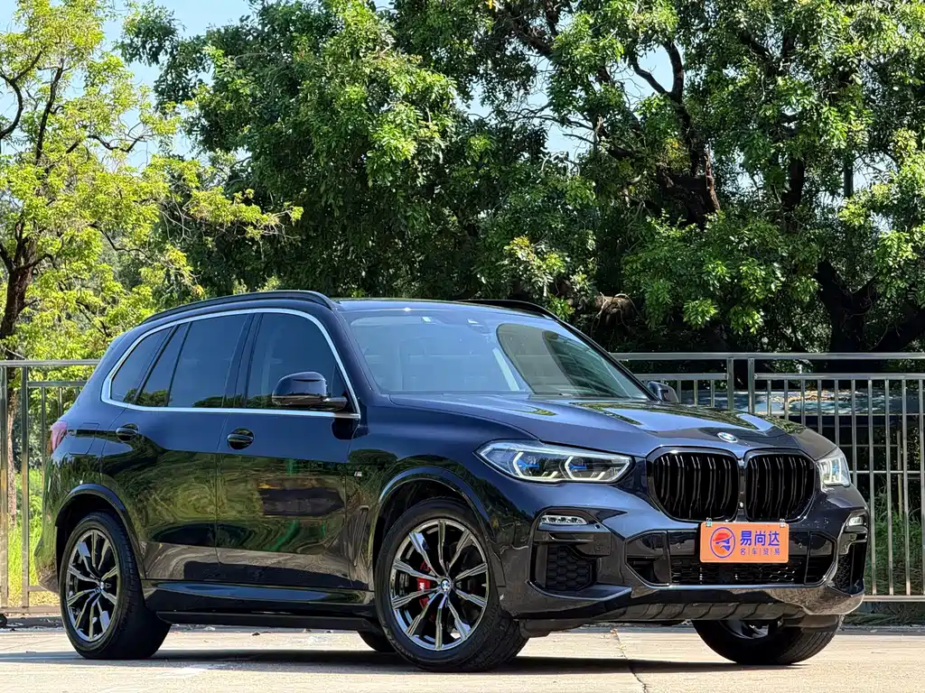 BMW X5 (Import) — фото 3