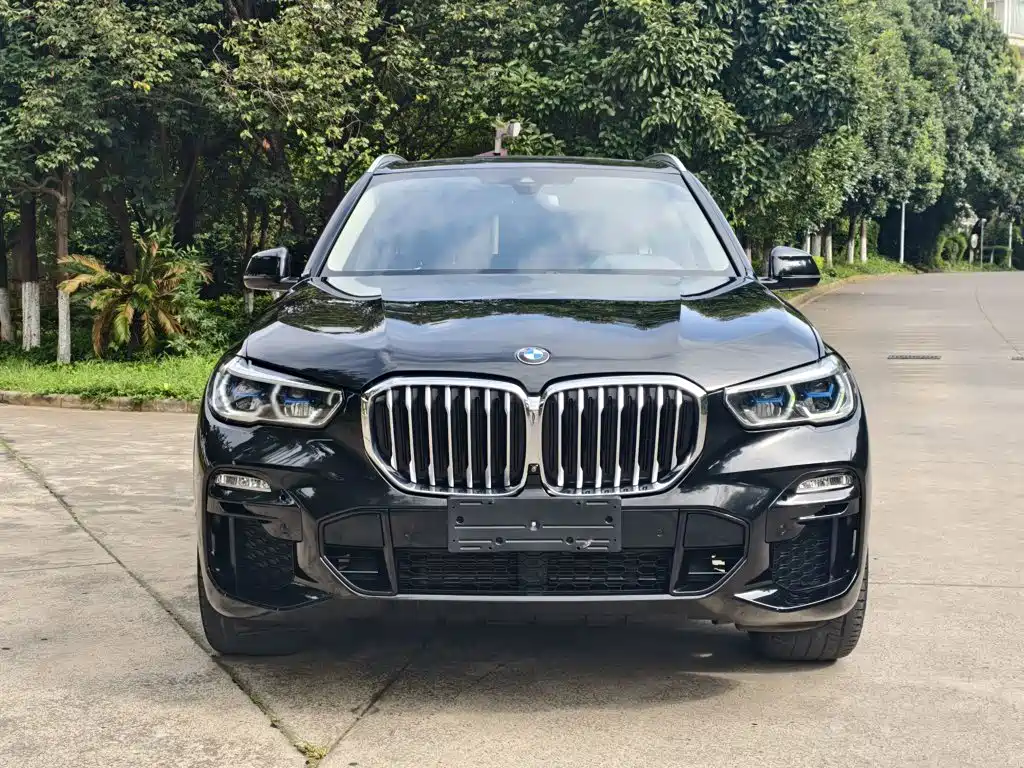 BMW X5 (Import) — фото 2