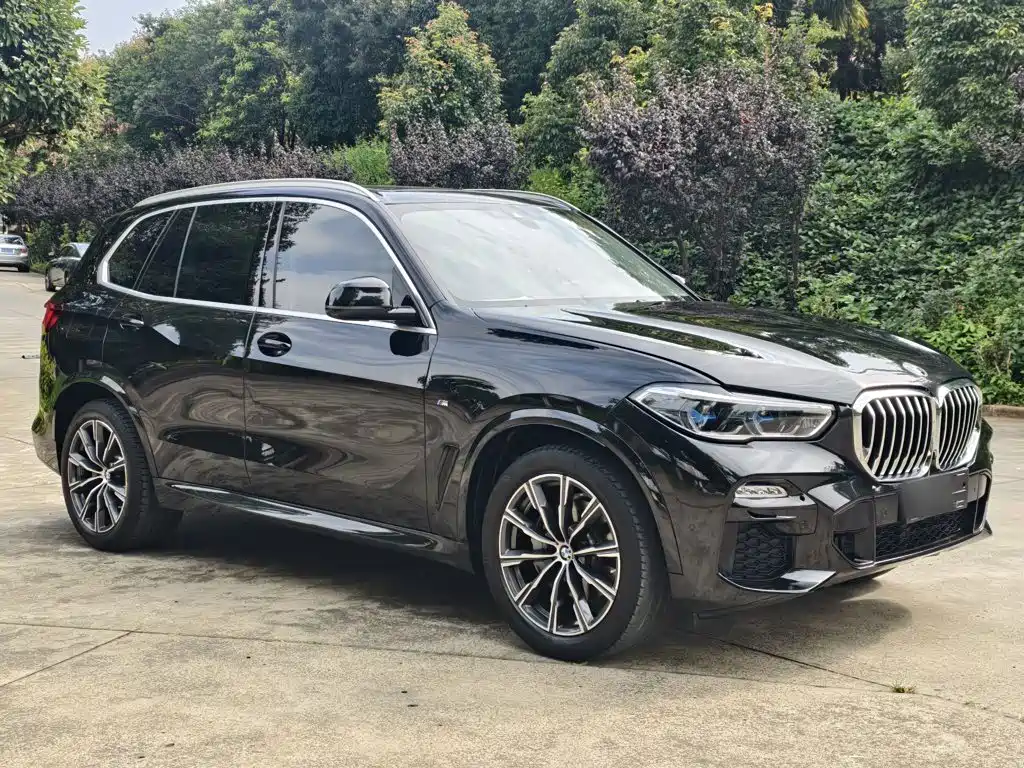 BMW X5 (Import) — фото 3