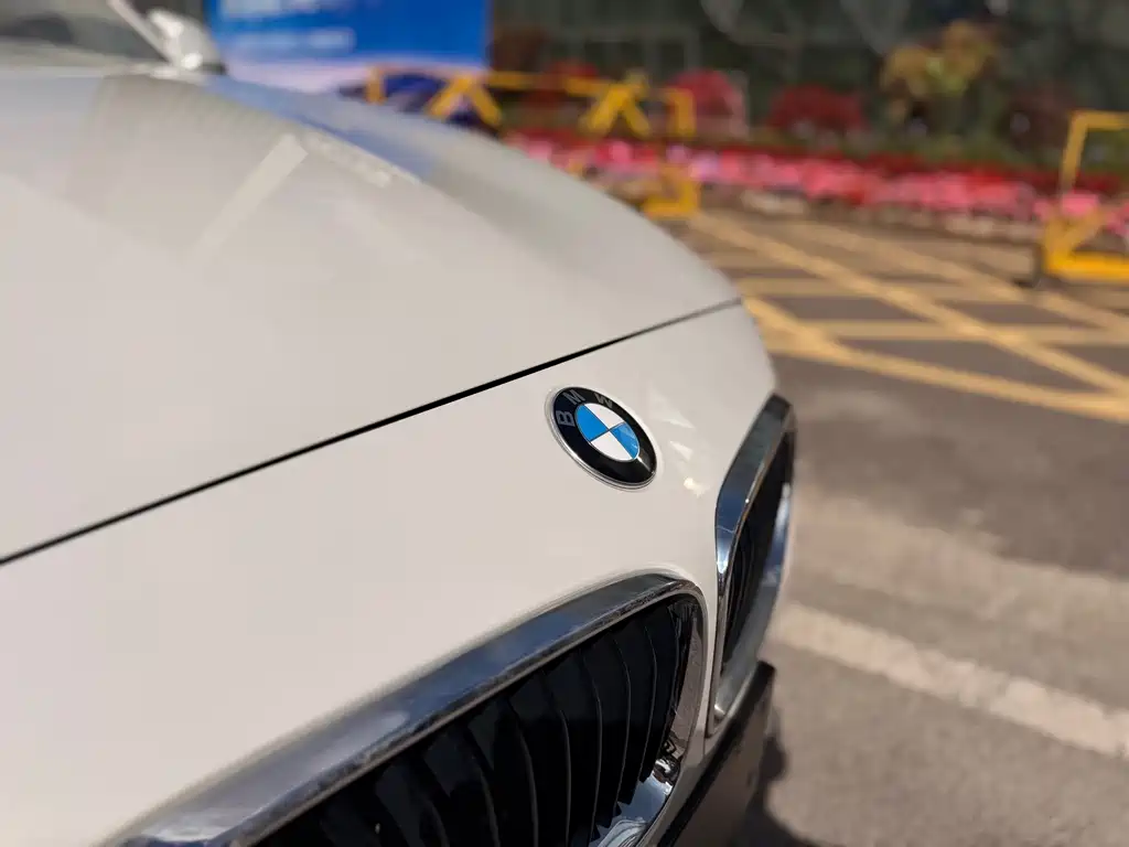 BMW 2 Series (Import) — фото 23