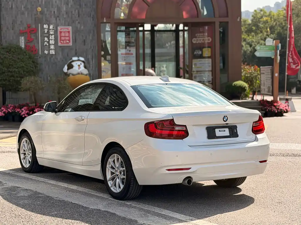 BMW 2 Series (Import) — фото 8