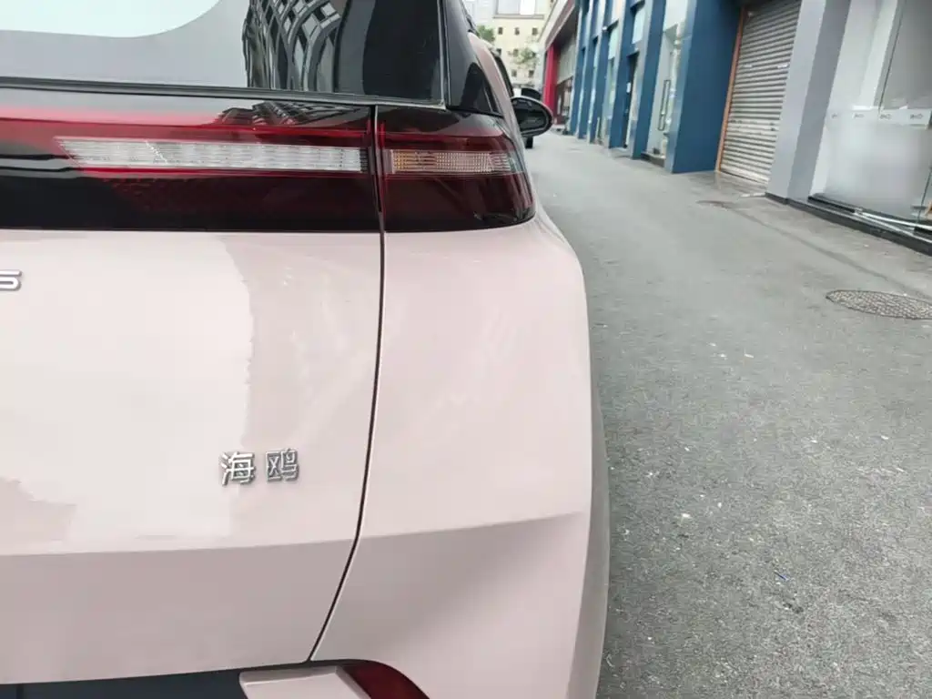 BYD Seagull — фото 7
