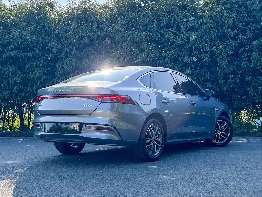 BYD Qin PLUS — фото 4