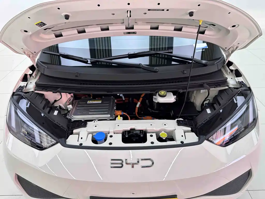 BYD Seagull — фото 10