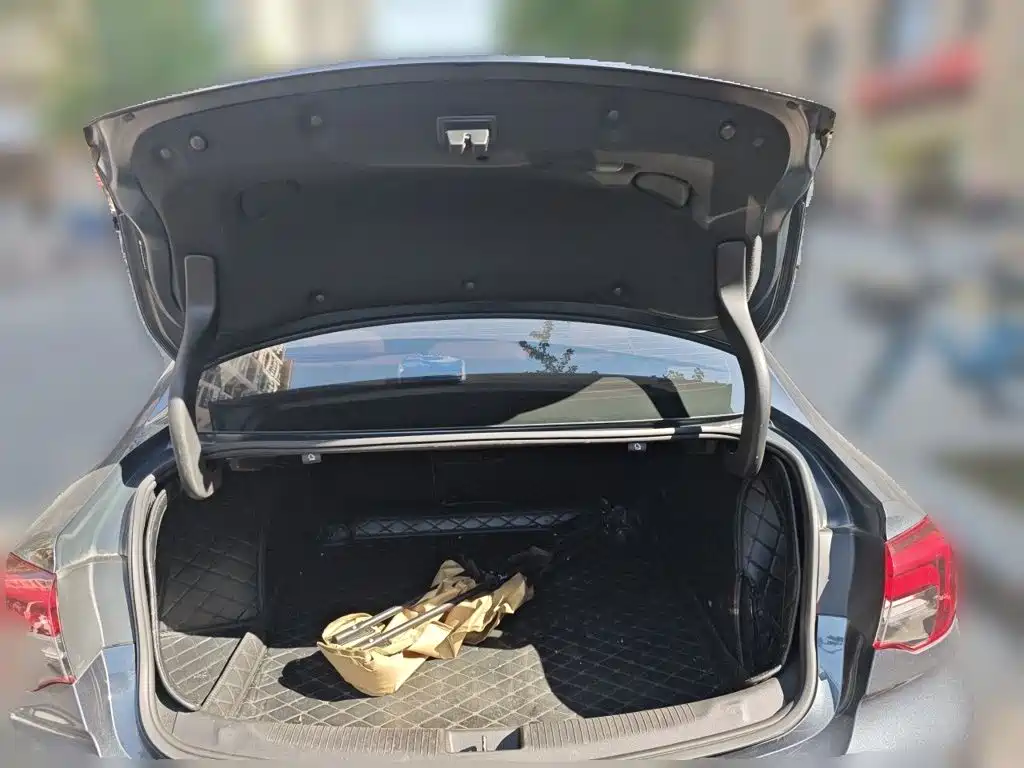 Buick Regal — фото 20