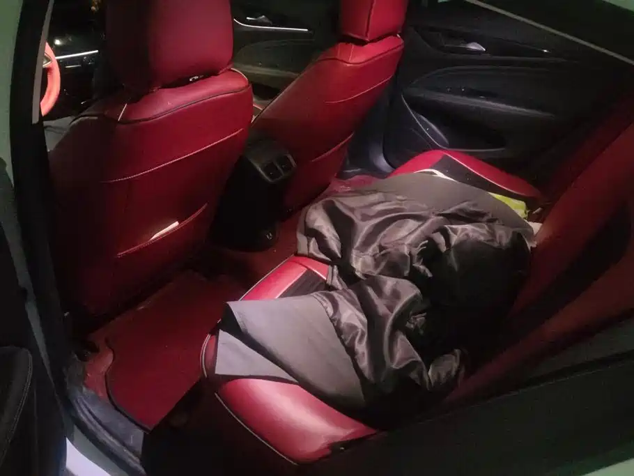Buick Regal — фото 11