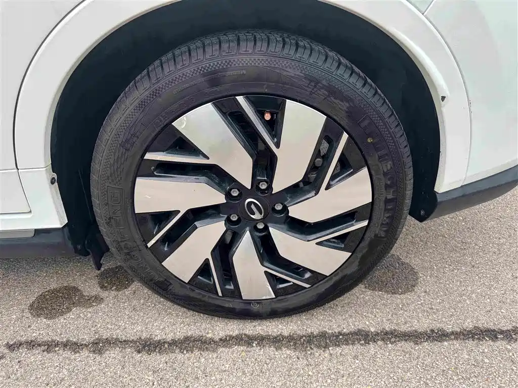 Aion Trumpchi GE3 — фото 20