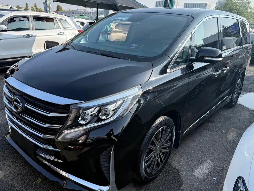 GAC Motor Trumpchi M8 — фото 2
