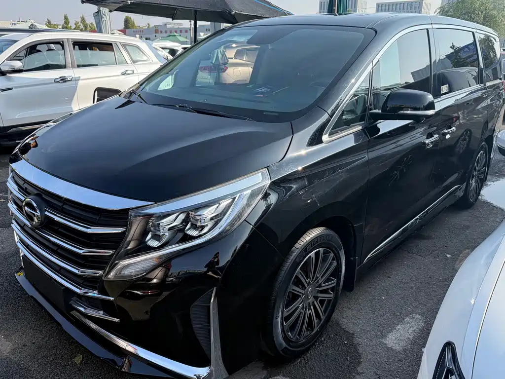 GAC Motor Trumpchi M8 — фото 3